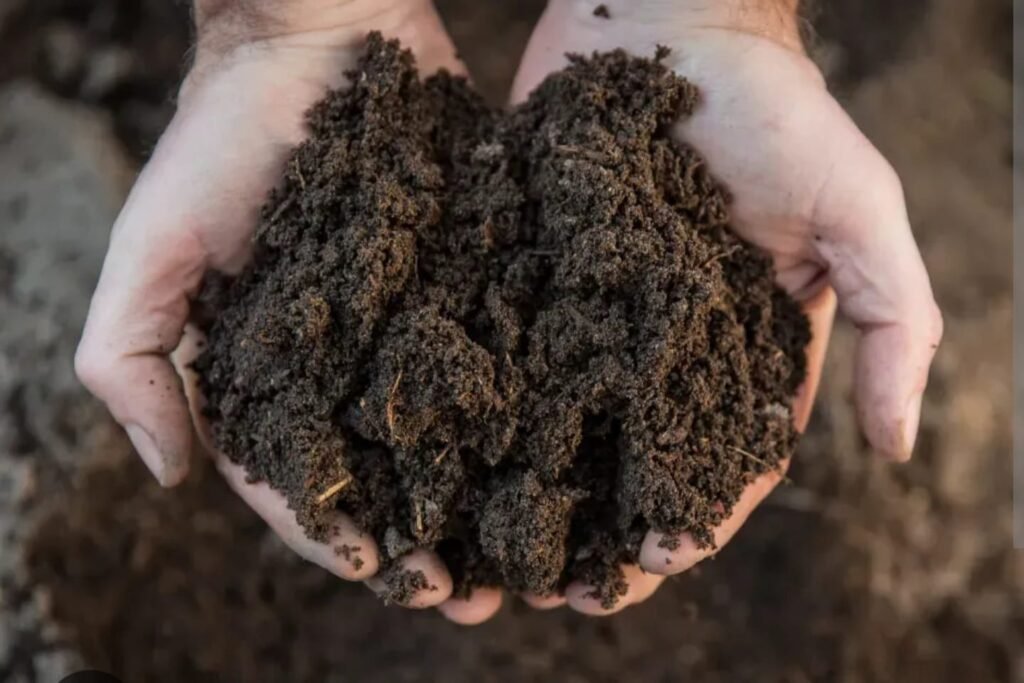 In the heart of India's agricultural innovation hub, Karnataka, a quiet revolution is taking place beneath the soil.